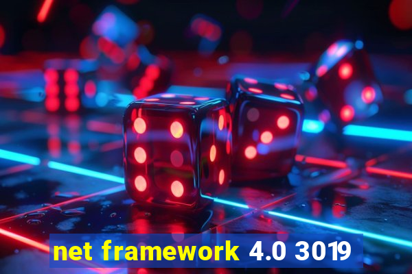 net framework 4.0 3019